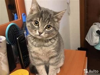   ,     !    4,5, , ,     ,    ,       