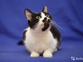     ,         ,     ,  , , ,  