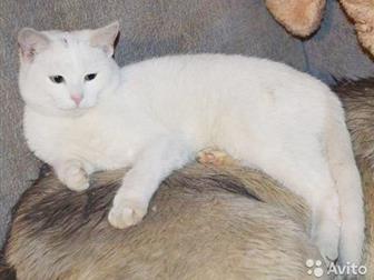       ,  , 8 ,    ,  , ,   ,    ,  ,  