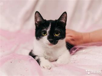    ,   ,    ,  , ,    ,  ,    5,  