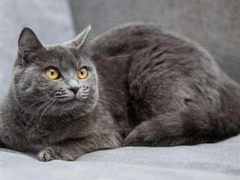        , , ,      ,  -    ! -   