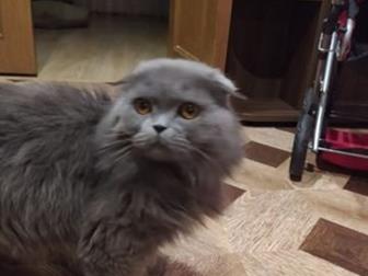      ,    ,    , ,       ,  