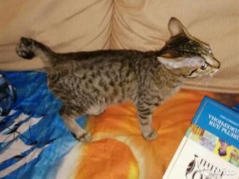 ,     ,   -12 ,     ,   ,      ,    ,   