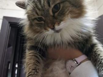  ,      ,  ,       ,   ,  ,   ,   