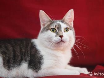    ,    ,   !  4 , , , (  ),   ,  ,  