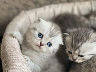 ?? 6??  - 8, 02, 2020,  ?? ??   4??   1?? ??    ,  ?   