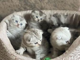 ?? 6??  - 8, 02, 2020,  ?? ??   4??   1?? ??    ,  ?   