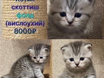 ?? 6??  - 8, 02, 2020,  ?? ??   4??   1?? ??    ,  ?   