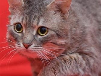  - -  ,    ,  ,     ,    ,   ,     ,   