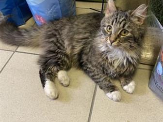       ,  3-3,5,    ,   ,        ??  