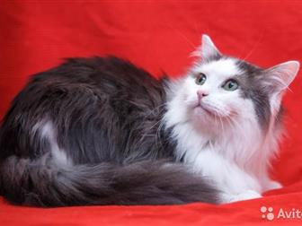       ,     ,  ,   ,  ,    ,  