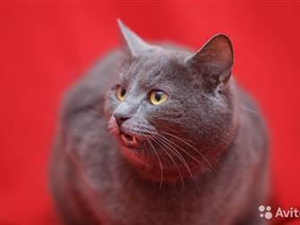  -  - ,  !   ,   ?   ,    ,    ,   