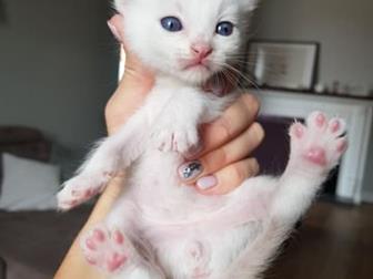      ,   21 ,  5 ,   ,  ,    ,  ,    