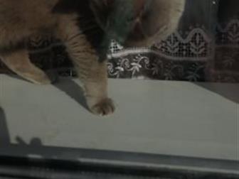   5      ,           ,   ,  