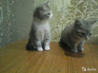   2  ,  ,      ,   ,     ,  