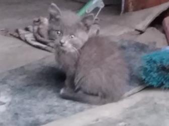   ,    ,  , ,   ,  ,    , 2  58,  