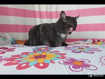   3  ,  ,    ,   ,   ,  