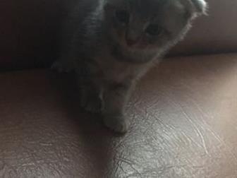  , ,   