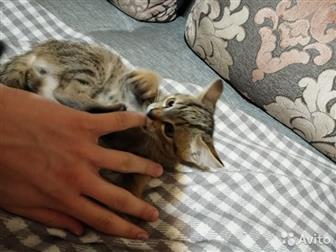 -    (, ) -  - (,   ) -  (, ) - ( ) - ,  