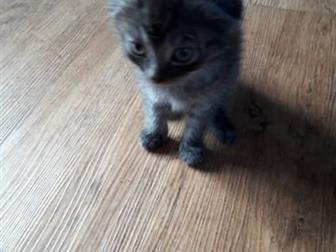  ,   , ,  ,  