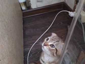 ,          ,      ,  