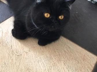  ,     !,    ,      