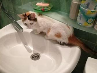      ,  3 ,    ,   ,  ,  ,  ,  
