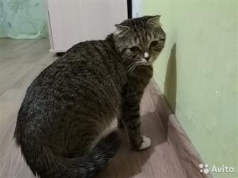     ,   ,   , , , ,,, , ,          !  