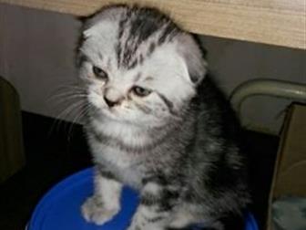   ,  ,    ,    ,   ,   ,      ,  