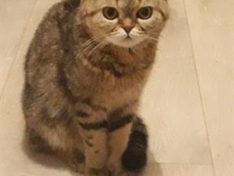     ,  1  9       ,       