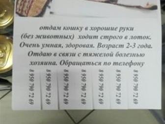     , ,  ,      ,   ,     ,   , ,  