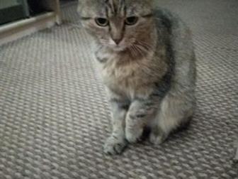         ,   3 ,    ,     ,   ,  