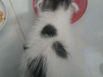    ,      , , , , ,   ,,      ,  