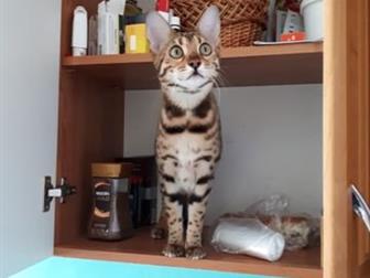     ??  3 ,    , ,    ,   ,      ,  