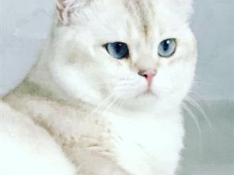  ,      ,          !  