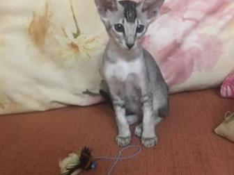   05, 11,    ,   ,  