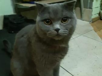  ,   ,    ,  , ,       ,  