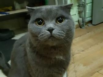  ,   ,    ,  , ,       ,  