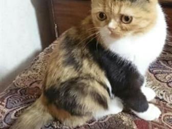         -,,  ,,,   1     ,  ,  
