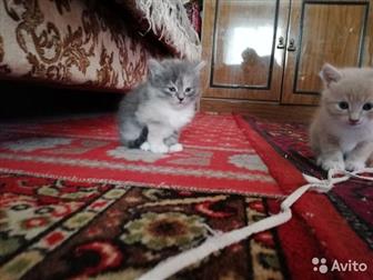 1 , ,  , , ,      