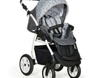  3  1 Indigo Charlotte 18 F -     3  1,        ,    