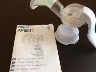     Avent    -     : /  