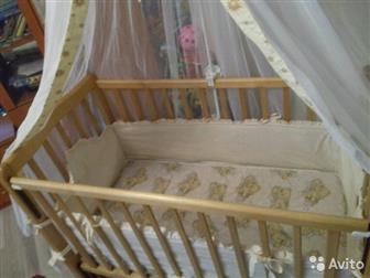      ( ),   ,   3 ,    ,  ,     ,   