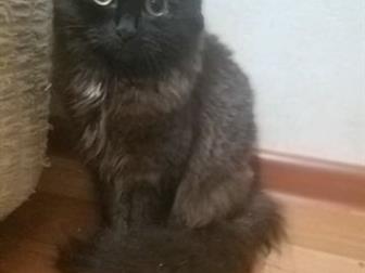 , 5 , ,   !  -