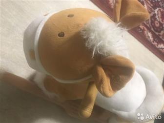     1  ,   ,   (  ) , , : /  