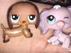 Littlest Pet Shop