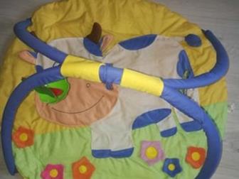         Elefantino    ,     ,      