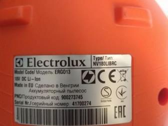  Electrolux ergorapido  ,   ,  ,  