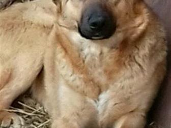  7  ,     (   ),       ,  ,       