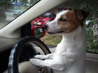    4 ,   , ! !   ,  ! ,     